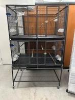 Prachtige binnenvoliere op te delen in meerdere vakken, Nieuw, Ophalen of Verzenden, Vogelkooi, Info@birdtrade.nl