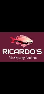 Ricardo's vissen opvang arnhem, Dieren en Toebehoren, Vissen | Aquariumvissen, Vis