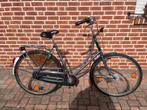 Gazelle damesfiets 57cm - Nieuwe banden, Ophalen, Terugtraprem, Gebruikt, Versnellingen