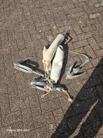 Ankers met balas balen.