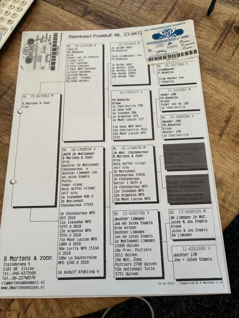 Jonge duiven, Meerdere dieren