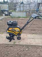 Tuinfrees Texas TX-501