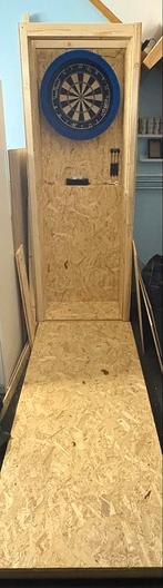 Volledige dartbaan met dartbord en verlichting, Ophalen of Verzenden, Gebruikt, Dartbord