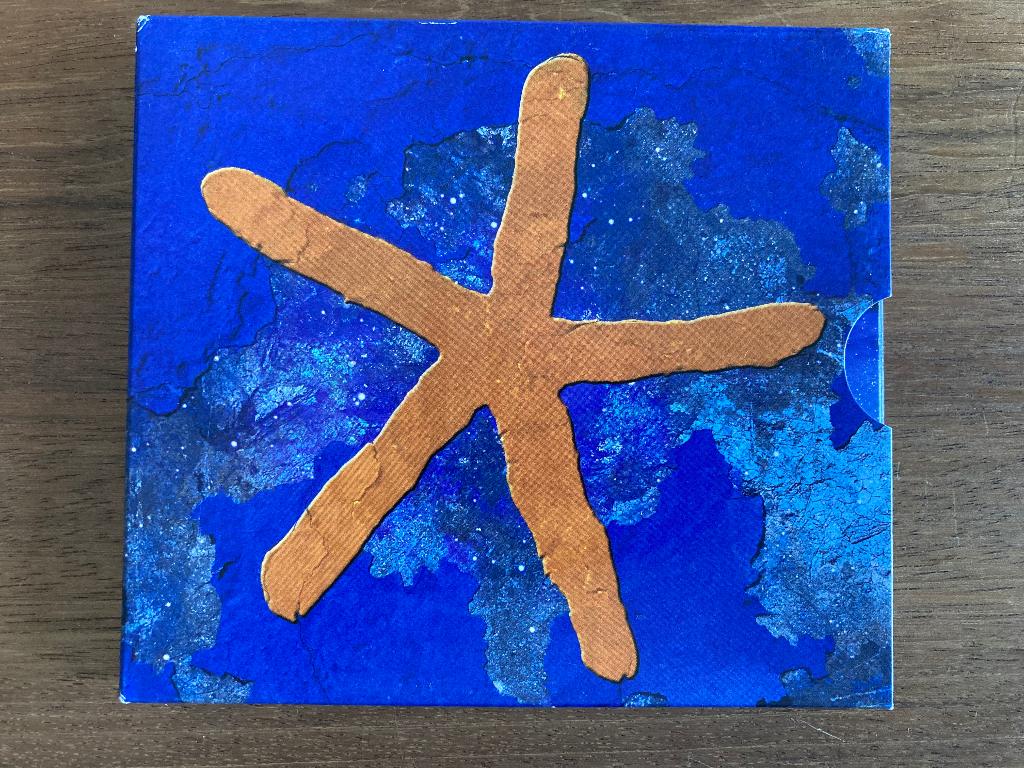 Cd+Dvd Fish 13th Star Limited Edition Bonus Dvd (Marillion), Ophalen of Verzenden, Gebruikt, Progressive