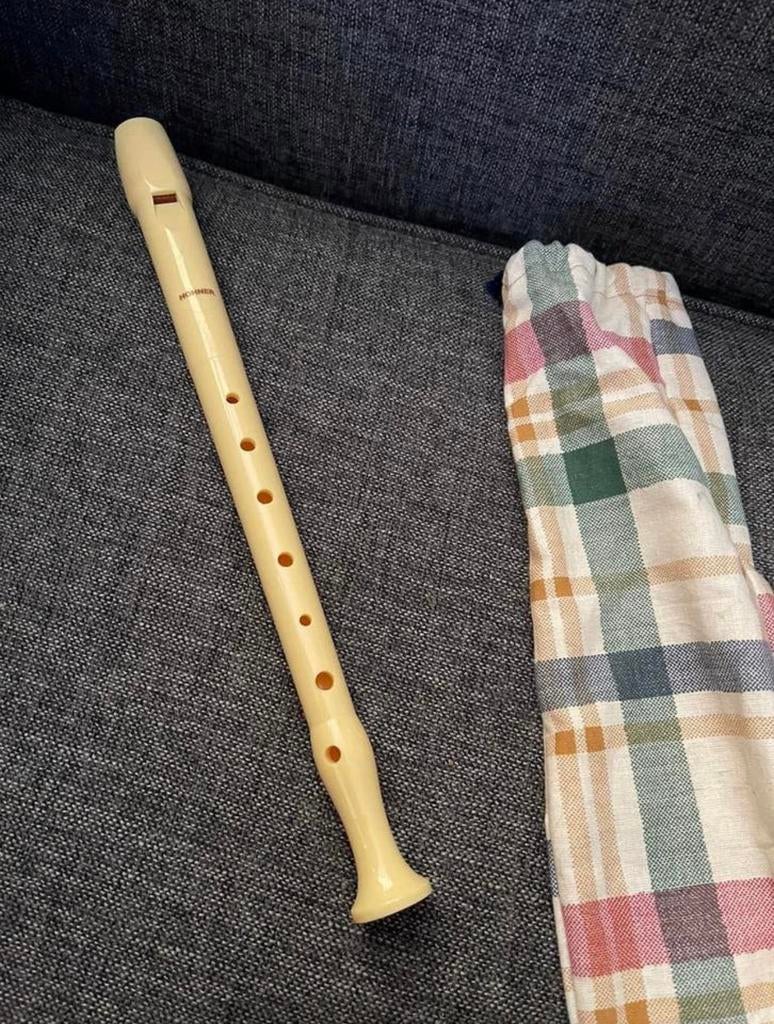 Vintage Hohner-blokfluit, Muziek en Instrumenten, Blaasinstrumenten | Blokfluiten, Ophalen of Verzenden, Zo goed als nieuw