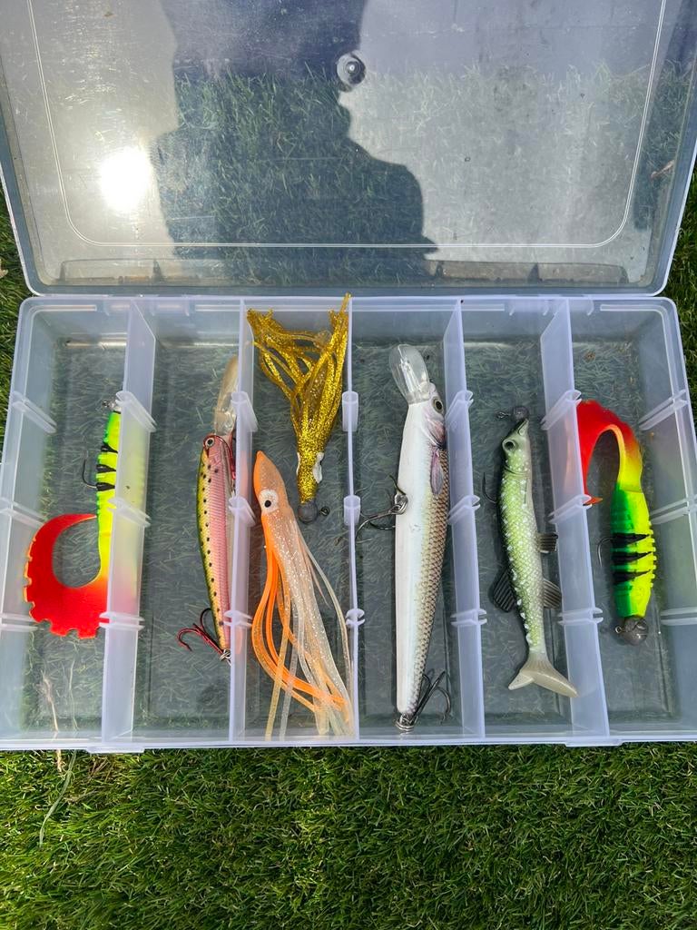 Vis aas / vis spullen, Ophalen of Verzenden, Zo goed als nieuw, Overige typen