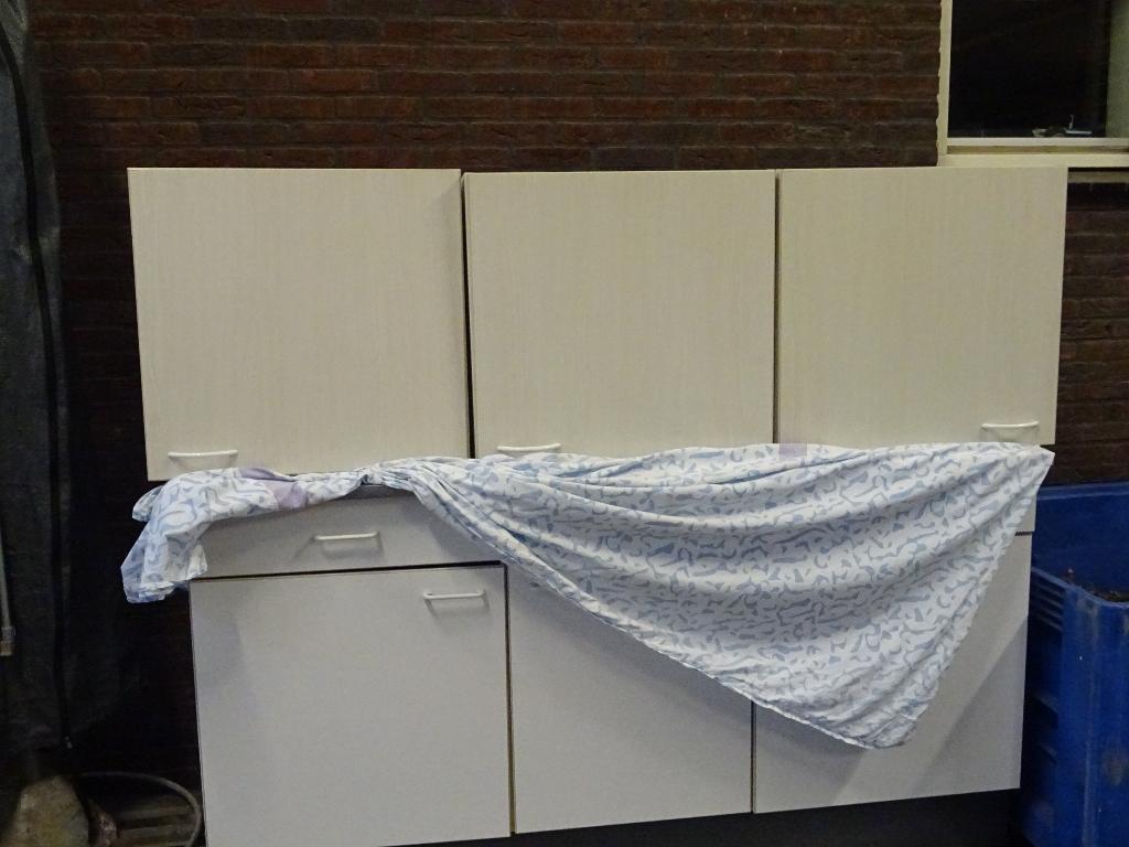 Keuken bovenkasten met ophangsysteem, Huis en Inrichting, Keuken | Keukenelementen, Gebruikt, Minder dan 100 cm, 50 tot 100 cm