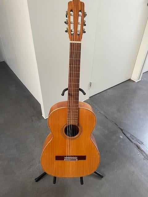 Klassieke gitaar Juan Salvador Modelo 6, Muziek en Instrumenten, Ophalen, Gebruikt, Klassieke of Spaanse gitaar