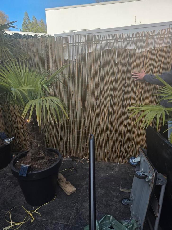 Bamboe schutting, Tuin en Terras, Schuttingen, Nieuw, Hout, 1 tot 2 meter, Minder dan 3 meter, Ophalen