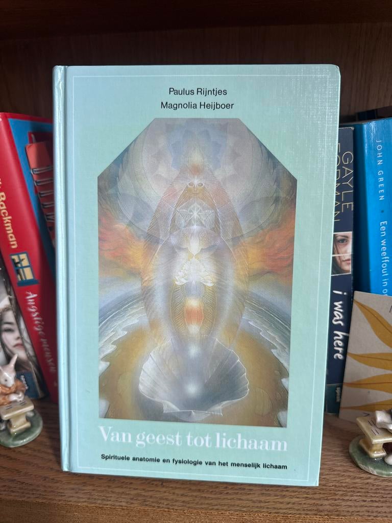Van Geest tot Lichaam - Paulus Rijntjes, Ophalen of Verzenden, Gelezen, Spiritualiteit algemeen, Achtergrond en Informatie