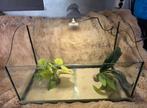 Aquarium voor vissen of kleine schildpad, Dieren en Toebehoren, Ophalen, Leeg aquarium