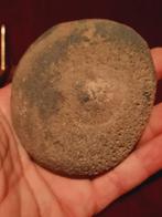 Fossiel waterannemoon prehistorie artefact maalsteen, Ophalen of Verzenden, Fossiel