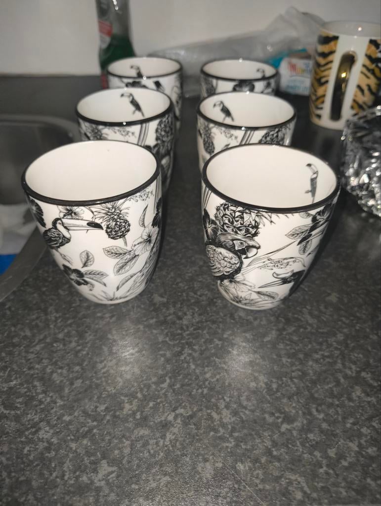 Set van 6 bekers met toekan en ananas print, Ophalen