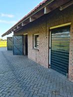 Paardenstalling te huur in directe omgeving (1 km) van Heino, Gechipt, Niet van toepassing, Recreatiepaard, Meerdere dieren