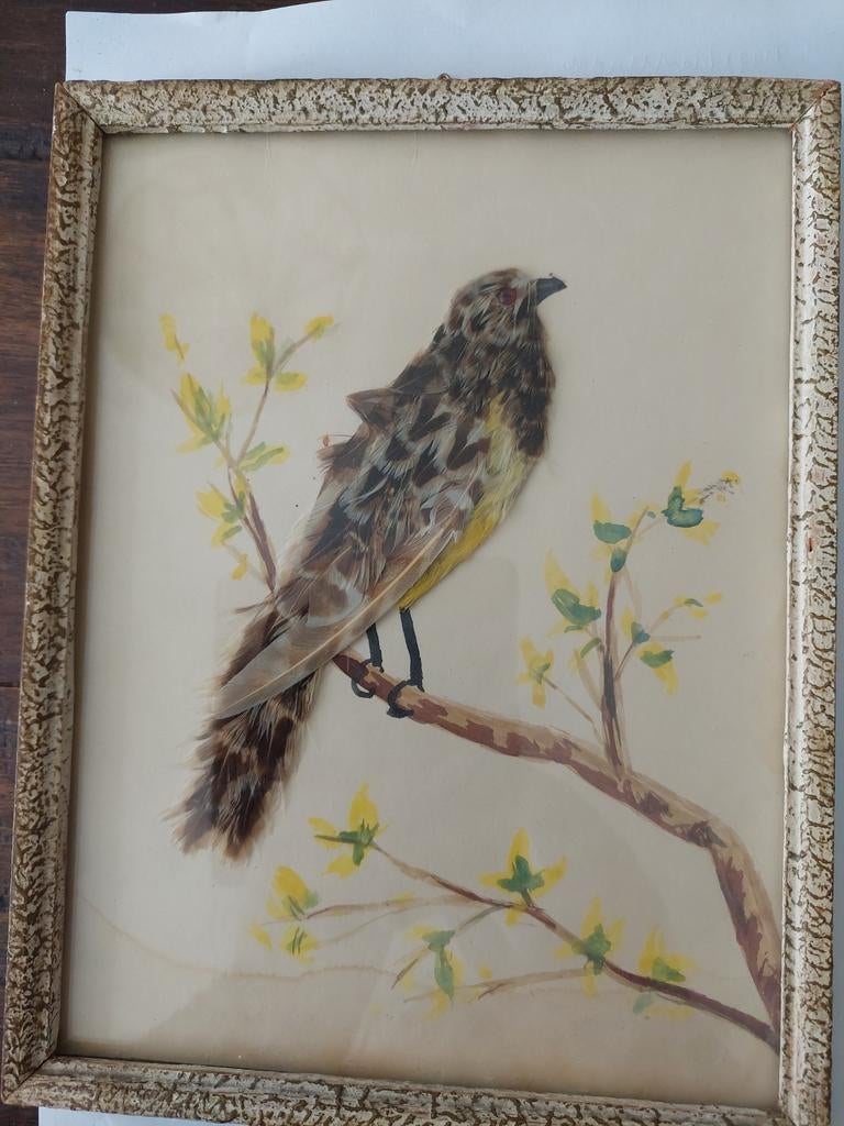 Mooi handwerkje met echte veren., Antiek en Kunst, Ophalen