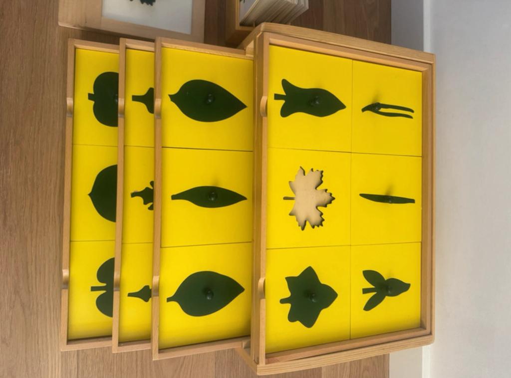 Montessori botanisch kastje, Ophalen of Verzenden