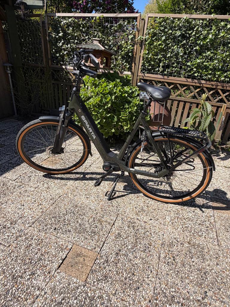 Sparta d-Rule Energy van okt22 maat 61, 59 cm of meer, Ophalen, Gebruikt, Sparta