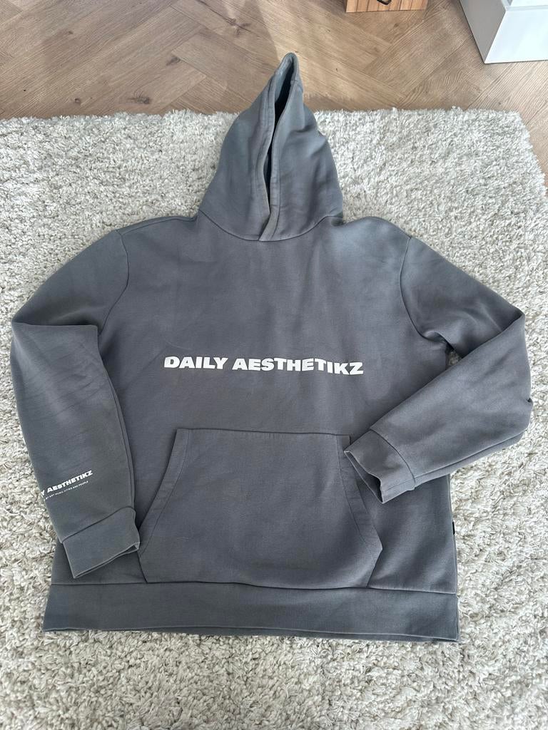 Daily Aesthetikz Hoodie Grijs Maat L, Kleding | Heren, Truien en Vesten, Ophalen of Verzenden, Gedragen, Maat 52/54 (L), Grijs