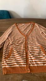 Esprit dames vest maat xl, Ophalen of Verzenden, Gedragen, Maat 46/48 (XL) of groter, Blauw