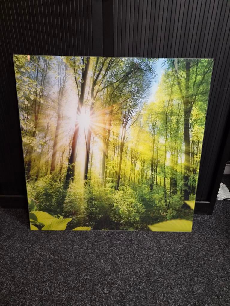 Schilderij Bos met Zonnestralen - glas print, Huis en Inrichting, Ophalen, 75 tot 100 cm, 75 cm of meer, Print