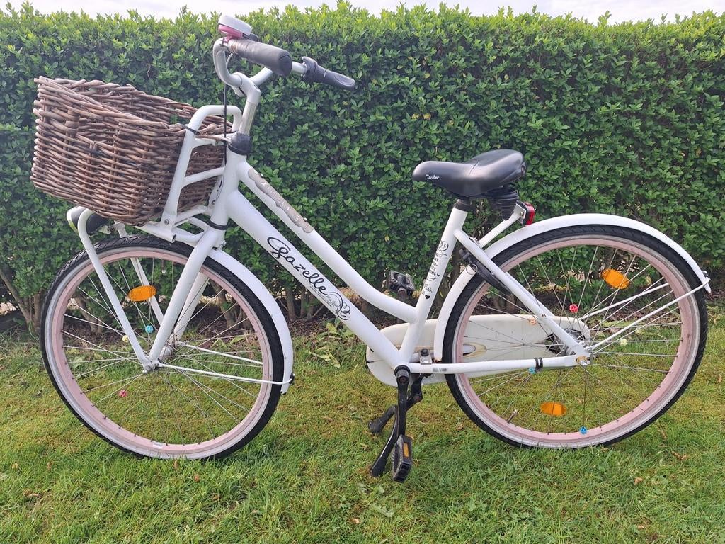 Meisjes fiets 20 inch, Fietsen en Brommers, Ophalen, Gebruikt, 20 inch