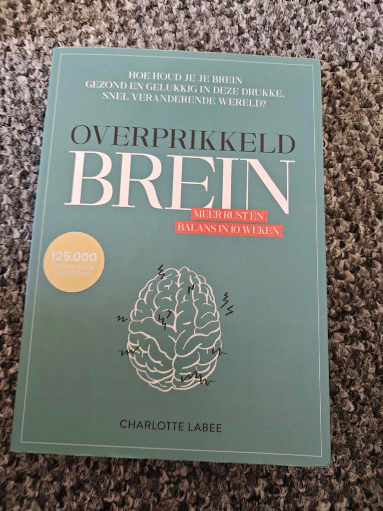 Charlotte Labee - Overprikkeld brein, Boeken, Ophalen of Verzenden, Zo goed als nieuw, Charlotte Labee