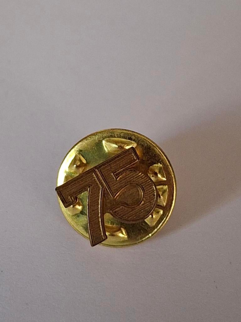 Speldje 75e editie Vierdaagse van Nijmegen, Verzamelen, Militaria | Algemeen, Landmacht, Overige typen, Nederland, Ophalen of Verzenden