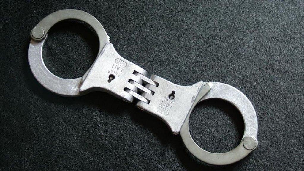 LIPS Handboeien, Verzenden, Overige soorten, Nederland, Overige typen