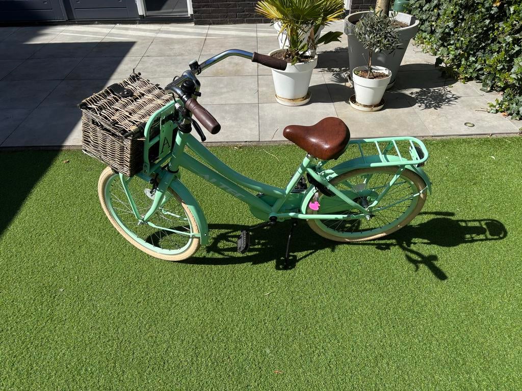 Altec meisjesfiets mintgroen met mandje 22 inch, Ophalen, Terugtraprem, 22 inch, Handrem