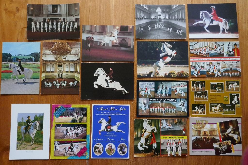 Set verschillende type Spaanse Rijschool ansichten, Verzamelen, Ophalen of Verzenden, 1980 tot heden, Paard