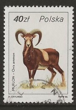Polen 78, moeflon, Verzenden, Polen, Gestempeld