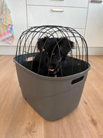 Unused Trixie bike basket for dogs, Ophalen, Nieuw