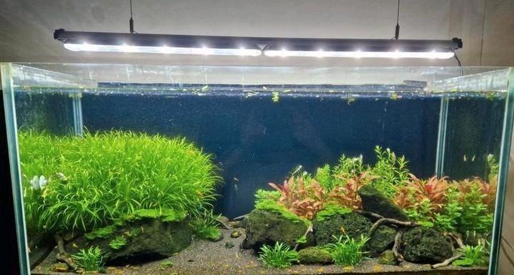 GroBeam 600 LED | 60–120 cm | 2x lamp, controller, ophangset, Dieren en Toebehoren, Vissen | Aquaria en Toebehoren, Gebruikt, Verlichting of Verwarming