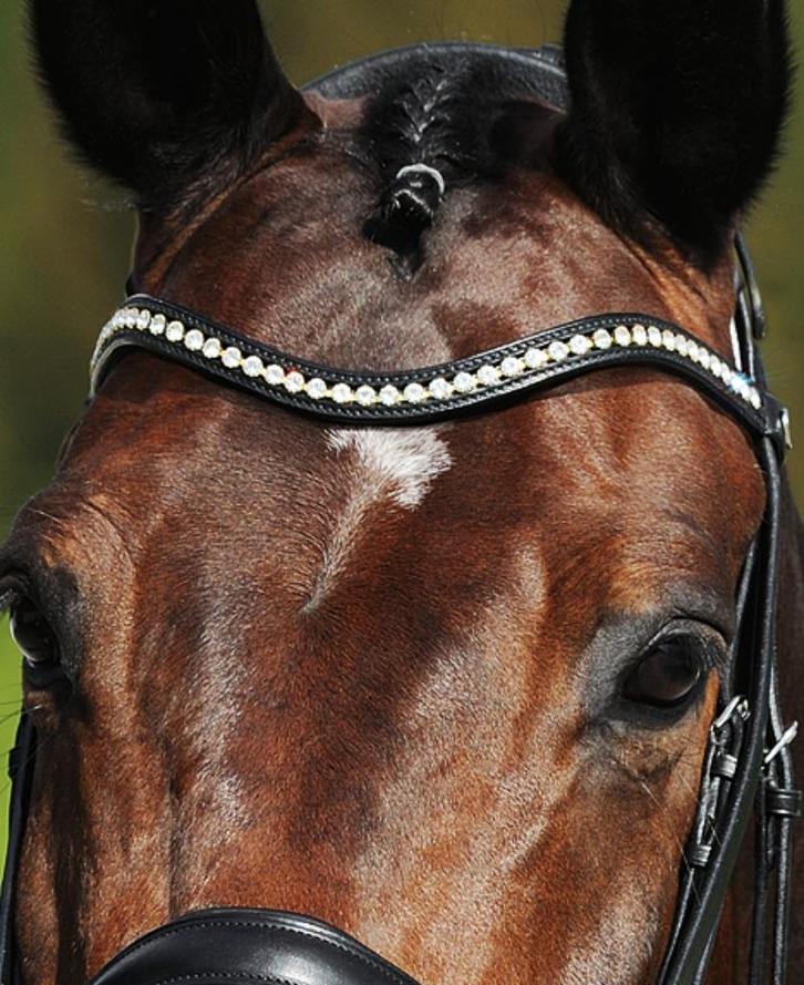Passier frontriem met grote Strass kristallen, Dieren en Toebehoren, Paarden en Pony's | Hoofdstellen en Tuigage, Nieuw, Dressuur