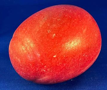 Stenen vrucht uit Taiwan beschikbaar voor biedingen