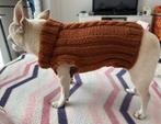 Chihuahua truitje, Dieren en Toebehoren, Ophalen of Verzenden, Nieuw, Hondentrui