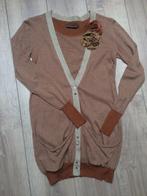 Drykorn vest trui streep bruin beige maat S/36 - M/38, Beige, Drykorn, Zo goed als nieuw, Maat 36 (S)