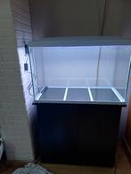 Aquarium,  superfish 150 liter met kast, Dieren en Toebehoren, Vissen | Aquaria en Toebehoren, Ophalen, Zo goed als nieuw, Leeg aquarium