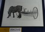 PENTEKENING * PAARD MET HOOI HARK * In Lijst *, Verzenden