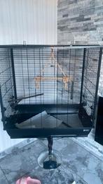 Vogel kooi, Ophalen, Zo goed als nieuw, Metaal, Vogelkooi
