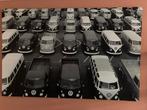 VW T1 foto/pooster 200cmx130cm, Verzamelen, Ophalen of Verzenden, 1960 tot 1980, Zo goed als nieuw, Overige onderwerpen