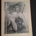Doris Day - zeldzaam album met foto's en verzamelplaatjes, Verzamelen, Ophalen of Verzenden, Gebruikt, Overige typen