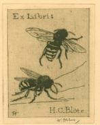 3242 Ex Libris Nederland : Joan Francois Obbes, z.j., Antiek en Kunst, Kunst | Etsen en Gravures, Verzenden