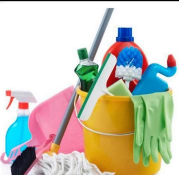 Huishoudelijke hulp aangeboden beschikbaar voor biedingen