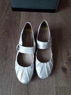 damesschoenen. dames schoenen. zilverkleur. maat 40, Kleding | Dames, Schoenen met lage hakken, Overige kleuren, Nieuw, Ophalen of Verzenden