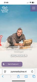 1 kaartje voor de voorstelling van vrijdag 12/9, Tickets en Kaartjes, Concerten | Pop, Eén persoon
