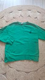 Zara trui maat 152 knal groen, Gebruikt, Trui of Vest, Ophalen of Verzenden, Zara