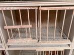 16 broedbakken te koop., Dieren en Toebehoren, Vogels | Duiven