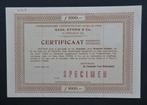 Gebroeders Stork & Co. - Hengelo 1909, Verzenden, Voor 1920, Certificaat van aandeel
