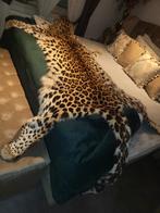 Opgezette taxidermie panter luipaard kleed, Verzamelen, Dierenverzamelingen, Ophalen of Verzenden, Zo goed als nieuw, Wild dier